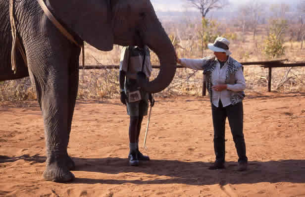 Ruth Baker Walton Wildlife Artist in Kenya